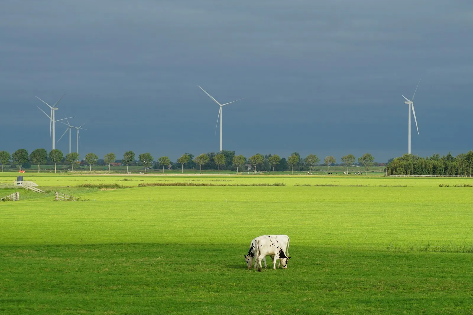 Noodstroom stroomstoring storm Noord-Brabant: